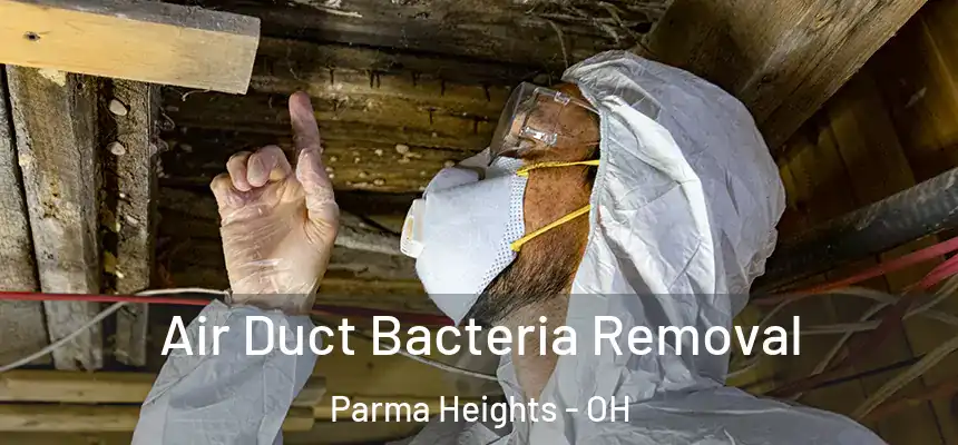 Air Duct Bacteria Removal Parma Heights - OH