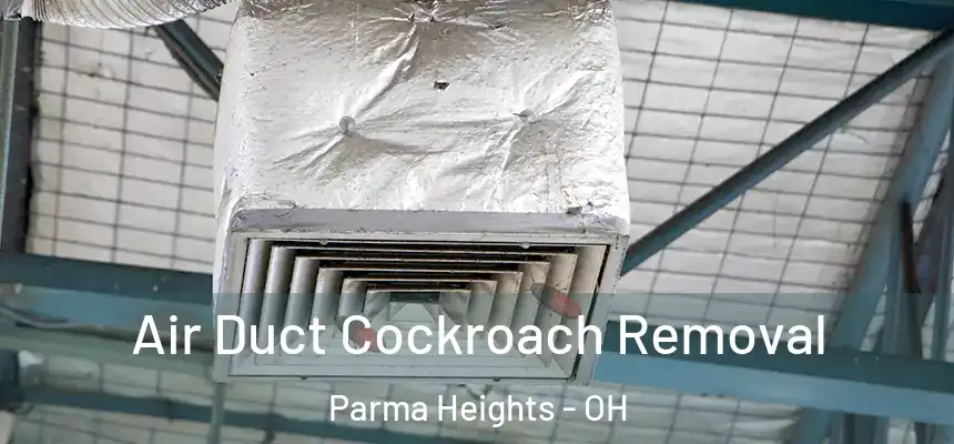 Air Duct Cockroach Removal Parma Heights - OH