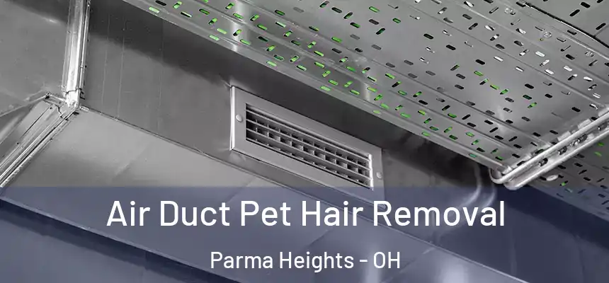  Air Duct Pet Hair Removal Parma Heights - OH