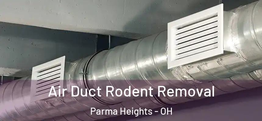  Air Duct Rodent Removal Parma Heights - OH