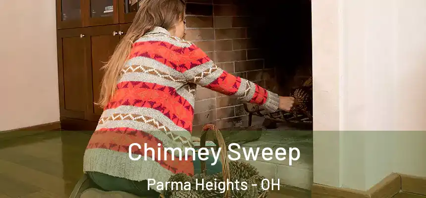  Chimney Sweep Parma Heights - OH