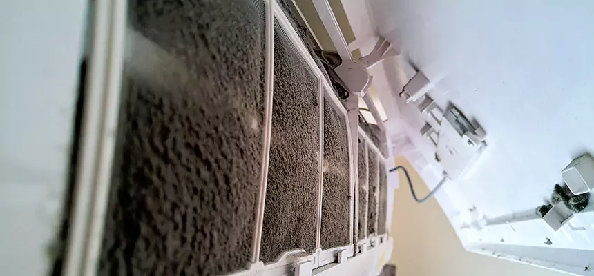 Preventive Air Duct Bacteria Removal in Parma Heights