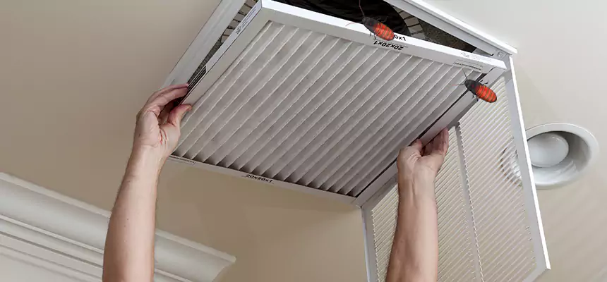 Preventive Cockroach-Proofing for Ducts in Parma Heights