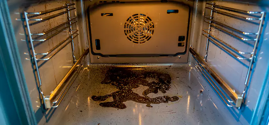 Our Dryer Vent Mold Cleaning Services in Parma Heights, OH