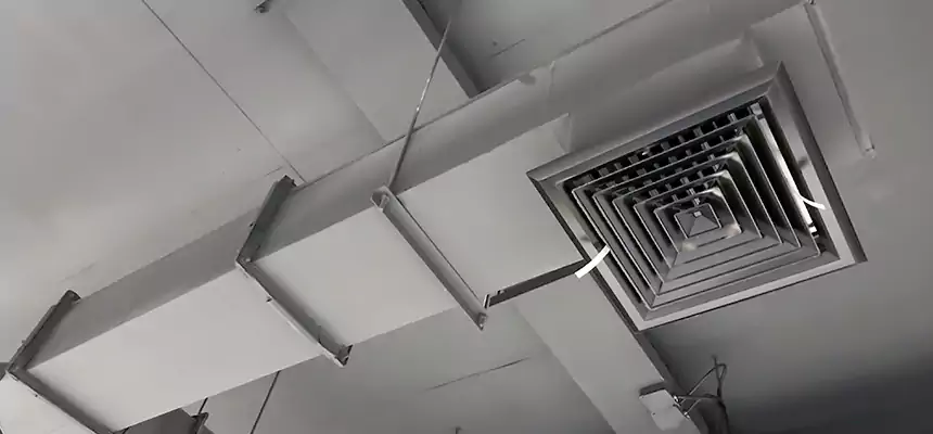 Our Rodent Droppings In Vents Services in Parma Heights, OH