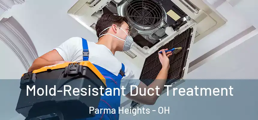  Mold-Resistant Duct Treatment Parma Heights - OH