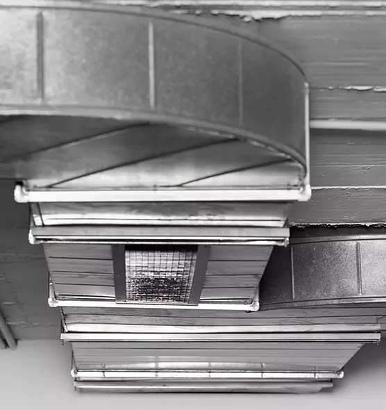 Professional Air Duct Pet Hair Removal in Parma Heights, OH