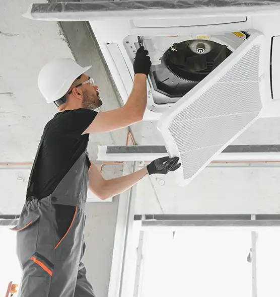 About Air Duct Rodent Removal in Parma Heights, OH