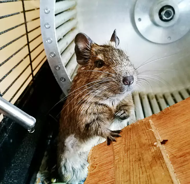 Why Homeowners & Businesses Trust Us Parma Heights, OH?