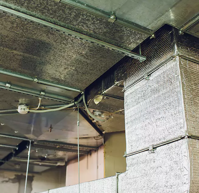 Why Homeowners & Businesses Trust Us in Parma Heights, OH?